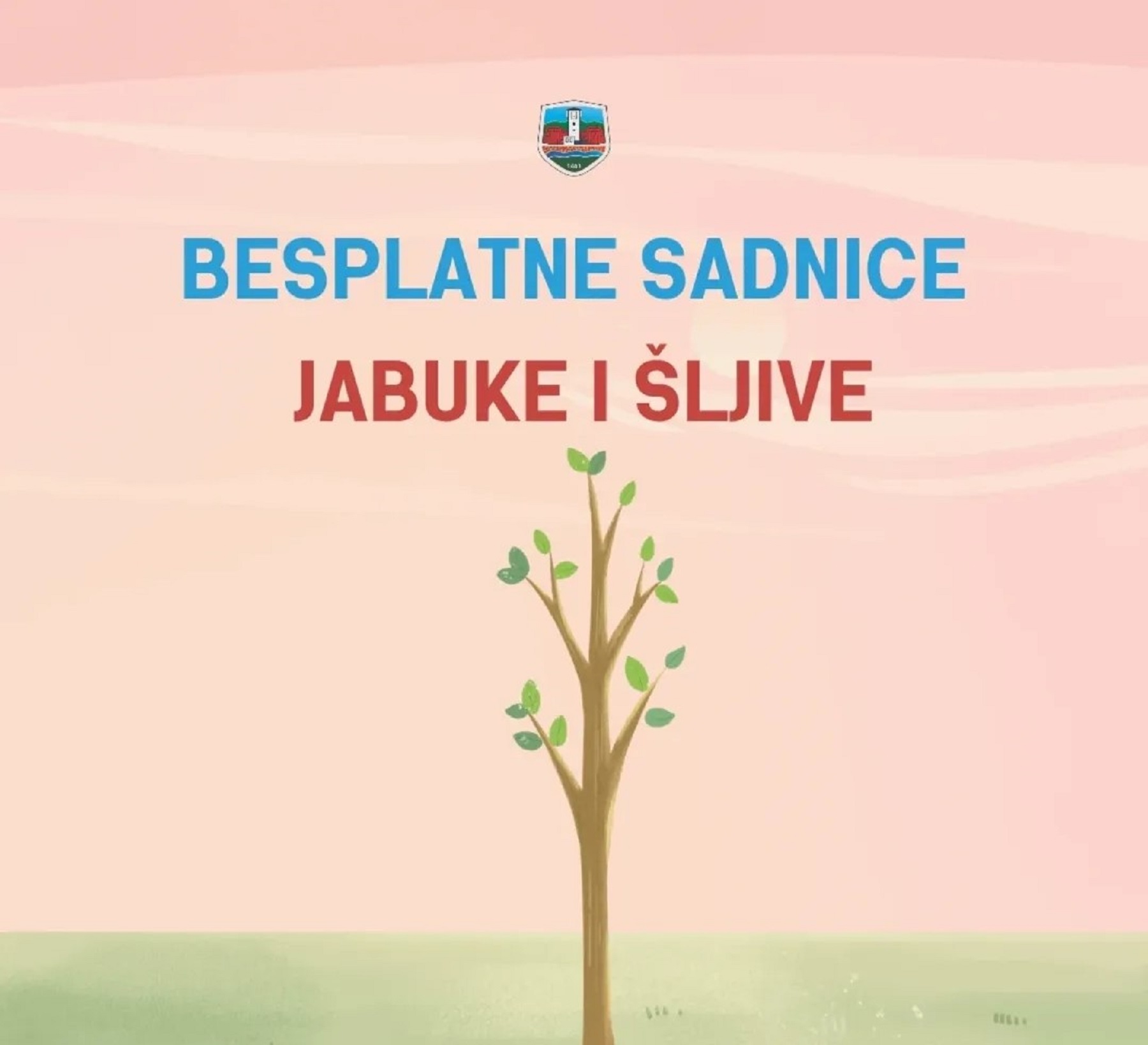 Sutra podela besplatnih sadnica